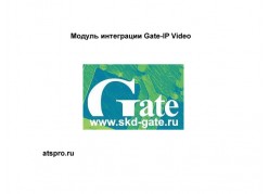  Gate-IP Video 
