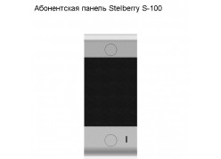   Stelberry S-100 