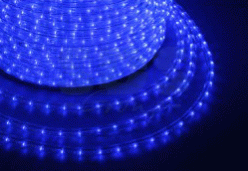 �������� NEON-NIGHT ���������� ��������, �����, 2,4 ��/�, 36 �����������/� ����