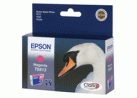 �������� Epson T0813