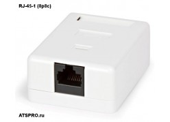������� ������������ RJ-45-1 (8p8c) ����