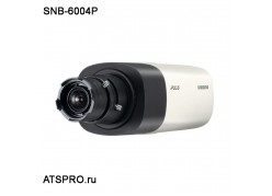IP-������ ��������� SNB-6004P ����