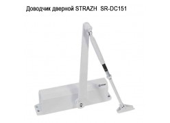 �������� ������� STRAZH  SR-DC151 (�������� �����) ����