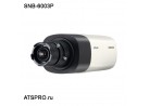 IP-камера корпусная SNB-6003P