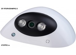 IP-������ ��������� GF-IPDIR4354MPA2.0 ����