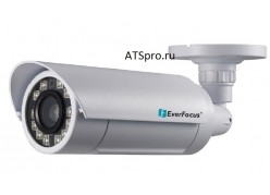 ��������� IP-������ EverFocus EZN3261 ����