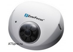  IP- EverFocus EDN1220 
