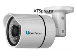 ��������� IP-������ EverFocus EZN268 ����