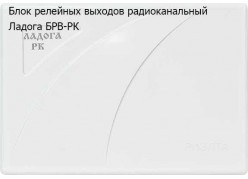 ���� �������� ������� ��������������  ������ ���-�� ����