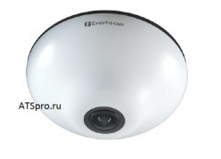 ��������� IP-������ EverFocus EFN3320 ����