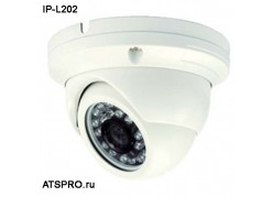 IP-   IP-L202 