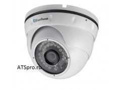 ��������� IP-������ EverFocus EBN268 ����