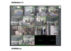 ������������������� ����������� ����������� NetStation 12 ����