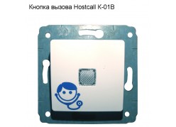 ������ ������ Hostcall �-01�