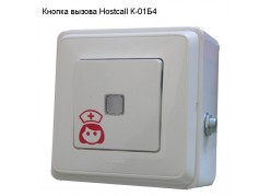 ������ ������ Hostcall �-01�4