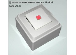 �������������� ������ ������  Hostcall  KBC-01L.S