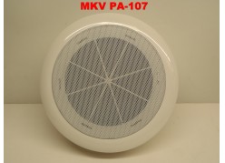  MKV PA-107tw