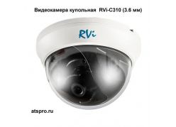 ����������� ���������  RVi-C310 (3.6 ��) ����