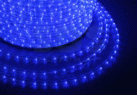 �������� NEON-NIGHT ������ ��������, �����, 2,4 ��/�, 36 �����������/�