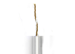 UTP 1�2�0,52 ���.5e Rexant  (305 ������)